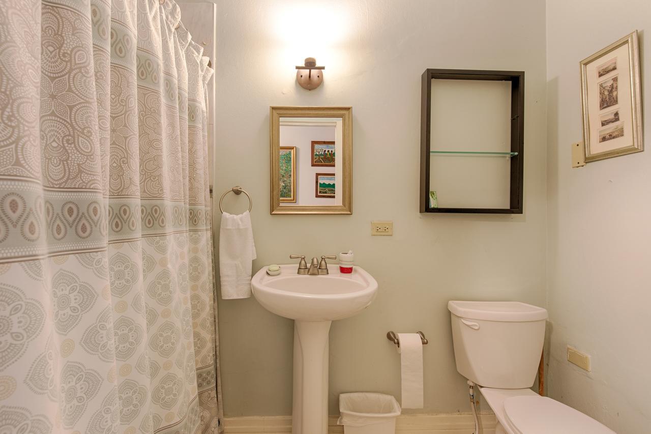 קינגסטון Chester Avenue Guest House מראה חיצוני תמונה