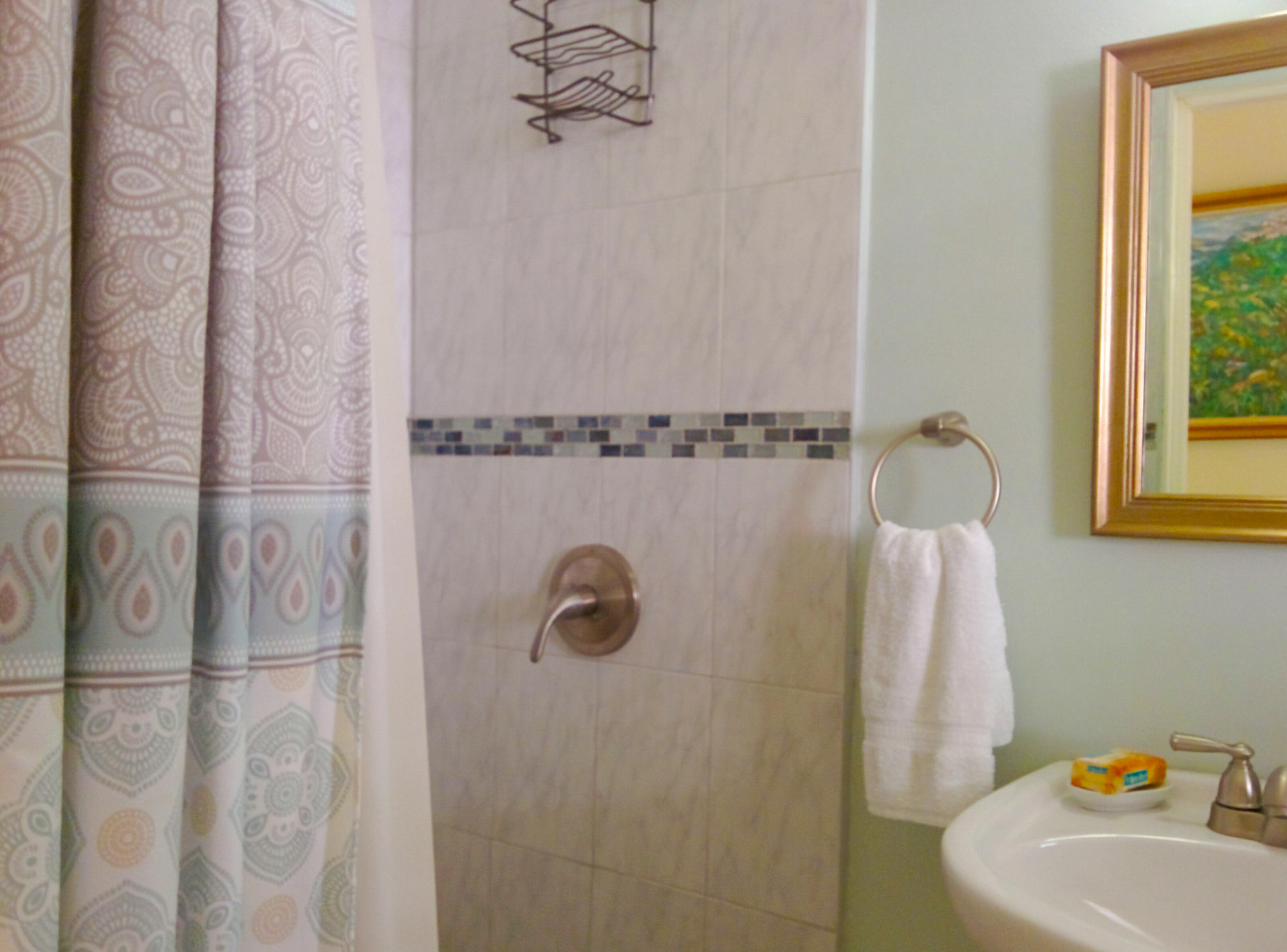 קינגסטון Chester Avenue Guest House מראה חיצוני תמונה