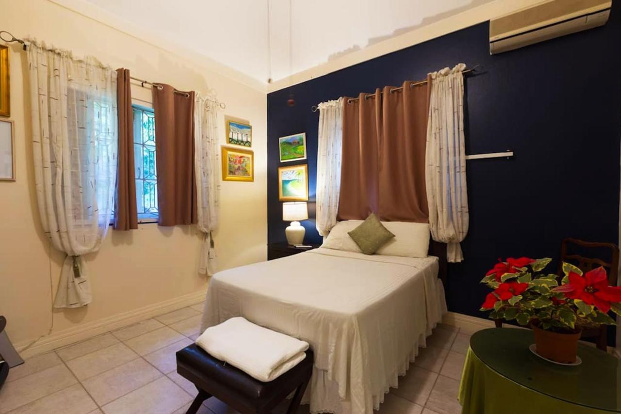 קינגסטון Chester Avenue Guest House מראה חיצוני תמונה